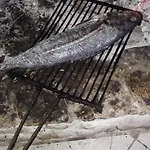Marko Appartamento Rava