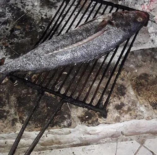 Marko 아파트 Rava